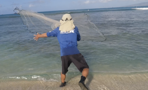 DAR biologist and fisherman, Neal Hazama casting a net.